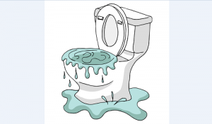 Billy The Sunshine Plumber Tarpon Springs Plumber | Pinellas Plumber | Billy the Sunshine Plumber
