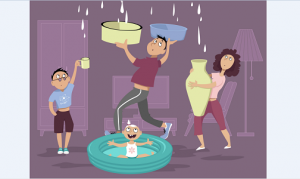 Billy The Sunshine Plumber Leaks | Leak Detection | Billy the Sunshine Plumber