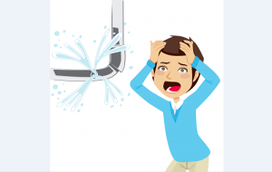Billy The Sunshine Plumber Leaking Pipe | Leak repair | Plumbing Leak