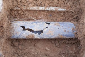Billy The Sunshine Plumber Citrus Plumber | Pinellas PLumber | Billy The Sunshine Plumber