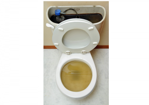 Billy The Sunshine Plumber Clogged Toilet | Plumbing | Billy the Sunshine Plumber