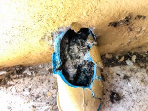 Billy The Sunshine Plumber Clogged Sewer | Blocked Pipe | Billy the Sunshine Plumber