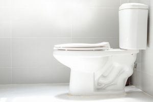 Billy The Sunshine Plumber ToiletClog|CloggedToilet|Low FlowToilet|BillytheSunshinePlumber