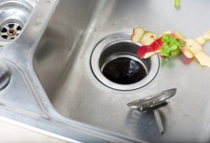 Billy The Sunshine Plumber Clogged Disposal | Garbage Disposal | Billy the Sunshine Plumber