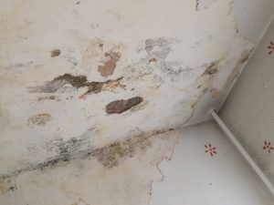 Billy The Sunshine Plumber Leak | Leaking Pipe | Billy the Sunshine Plumber