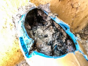 Billy The Sunshine Plumber Clogged Sewer | Sewer Clog | Billy the Sunshine Plumber