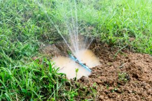 Billy The Sunshine Plumber Leak Detection | Plumber | Billy the Sunshine Plumber
