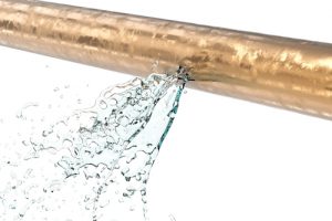 Billy The Sunshine Plumber Leak | Leak Detection | Billy the Sunshine Plumber