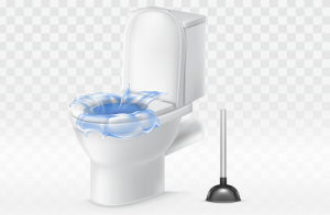 Billy The Sunshine Plumber Clogged Toilet | Toilet Clog | Billy the Sunshine Plumber