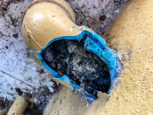 Billy The Sunshine Plumber Billy the Sunshine Plumber | CLogged Sewer | Drain Clearing