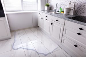 Billy The Sunshine Plumber Plumbing Leak | Leak Repair | Billy the Sunshine Plumbe