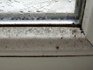 Billy The Sunshine Plumber Mold | Leak Detection | Billy the Sunshine Plumber