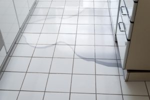 Billy The Sunshine Plumber Billy the Sunshine Plumber | Clog | Drain Cleaning