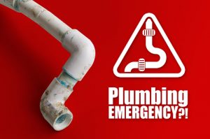 Billy The Sunshine Plumber Plumbing Emergency | Plumbing Leak | Slow Drain