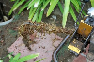 Billy The Sunshine Plumber Billy the Sunshine Plumber | Drain Cleaning | Drain Clearing