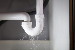 Billy The Sunshine Plumber Billy the Sunshine Plumber | Plumbing Leak | Leak Detection