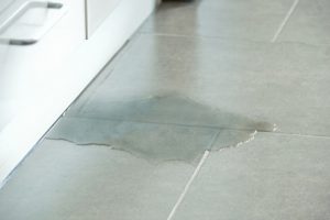 Billy The Sunshine Plumber Billy the Sunshine Plumber | Plumbing Leak | Leak Detection