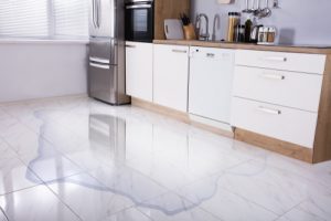 Billy The Sunshine Plumber Billy the Sunshine Plumber | Plumbing Leak | Leak Detection