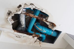 Billy The Sunshine Plumber Billy the Sunshine Plumber | Plumber | Repiping