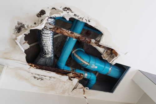 Time to Replace Your Plumbing? | Billy the Sunshine Plumber