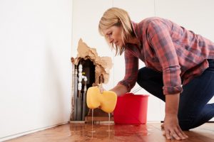 Billy The Sunshine Plumber Billy the Sunshine Plumber | I Need a Plumber | Plumber Near Me