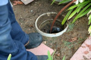 Billy The Sunshine Plumber Billy the Sunshine Plumber | I Need a Plumber | Plumber Near Me