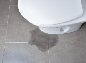 Billy The Sunshine Plumber Billy the Sunshine Plumber | Leaks | Leak Detection