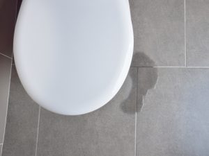 Billy The Sunshine Plumber Billy the Sunshine Plumber | Plumbing Leaks | Leak Detection