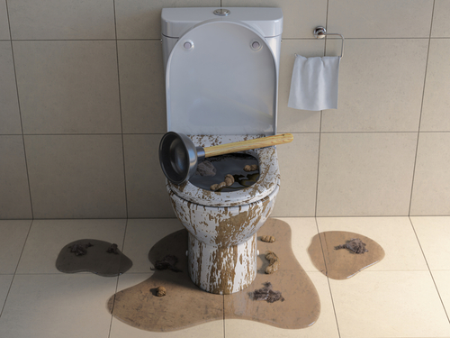 A Toilet Is Not a Trash Can | Billy the Sunshine Plumber