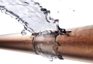 Billy The Sunshine Plumber Billy the Sunshine Plumber | 24-Hour Plumber | Leak Detection