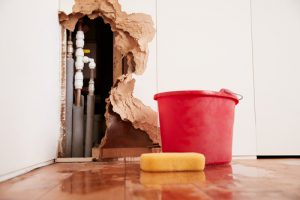 Billy The Sunshine Plumber Billy the Sunshine Plumber | 24-Hour Plumber | Leak Detection