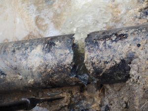 Billy The Sunshine Plumber Plumber | Leak | Leak Detection