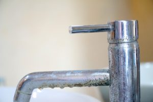 Billy The Sunshine Plumber Billy the Sunshine Plumber | I Need a Plumber | 24-Hour Plumber