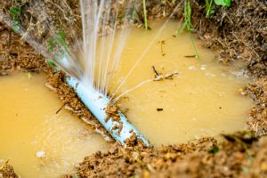 Billy The Sunshine Plumber Billy the Sunshine Plumber | Leak | Leak Detection