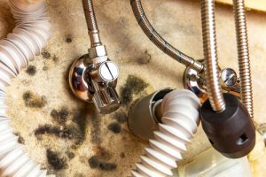 Billy The Sunshine Plumber Billy the Sunshine Plumber | Leak | Leak Detection