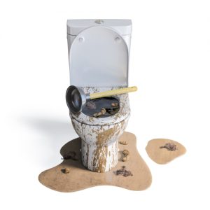 Billy The Sunshine Plumber Billy the Sunshine Plumber | Toilet Clog | I Need a Plumber
