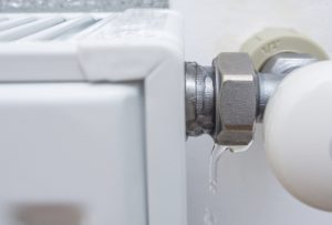 Billy The Sunshine Plumber Leak | Leak Detection | Water Heater