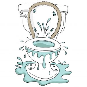 Billy The Sunshine Plumber Billy the Sunshine Plumber | Clog | Plumbing Emergency