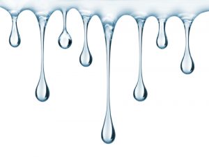 Billy The Sunshine Plumber Billy the Sunshine Plumber | Leak | Leak Detection