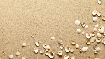Your Plumbing and Sand: What You Need to Know This Summer