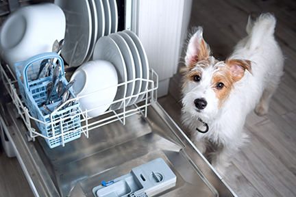 Does a Well Maintained Dishwasher Protect My Plumbing?