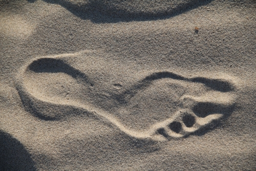 Playing in the Sand Can Cause Clogs | Billy the Plumber