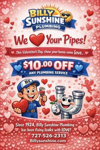 big savings on plumbing | Billy the Sunshine Plumber | St. Petersburg, FL
