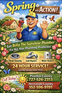 Screenshot | Billy The Sunshine Plumber Water Heater Flush | Billy the Sunshine Plumber | St. Petersburg, FL